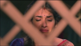 Harphoul Mohini - 7th November 2022